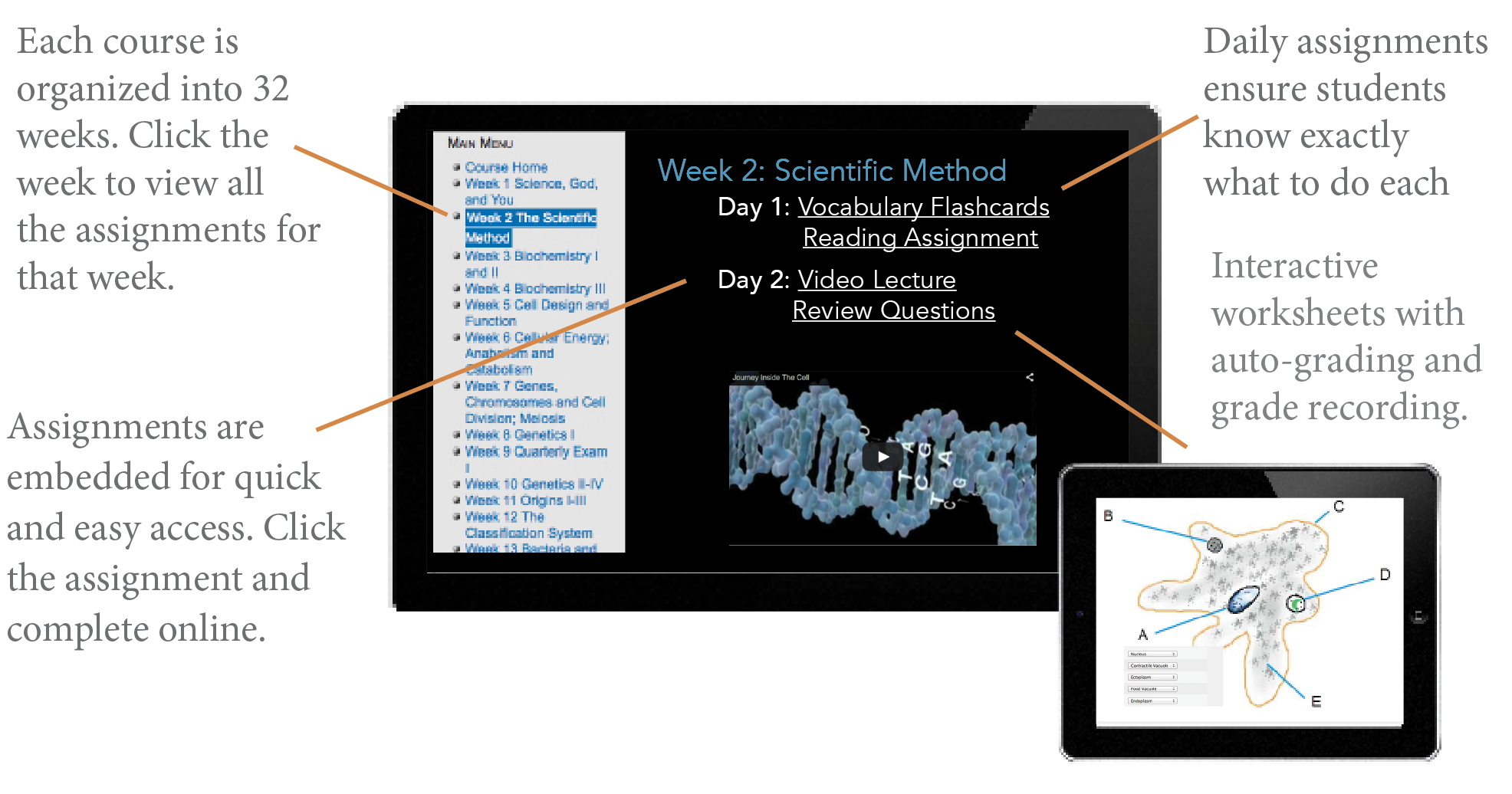 Study Shormann Math & Science at AllMaths | SA & Global